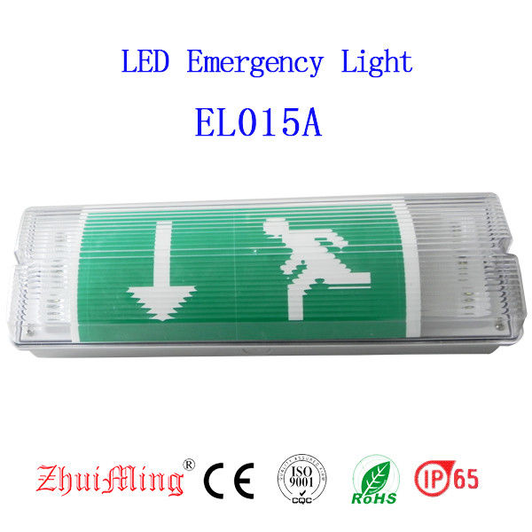 Pared de emergencia instalada, impermeable, luz de pared LED, superficie de pared, ubicación húmeda, exterior IP65 EL015AMN