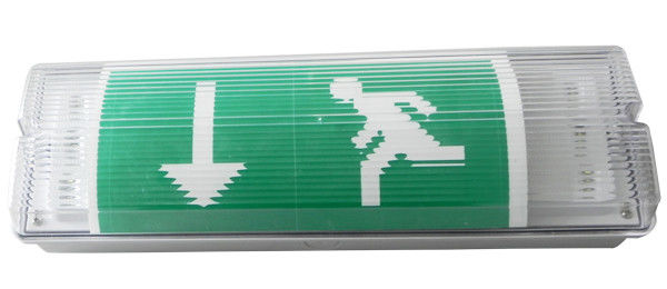 Superficie de la pared montada impermeable para el mamparo de emergencia luz LED ubicación húmeda exterior IP65 L102M