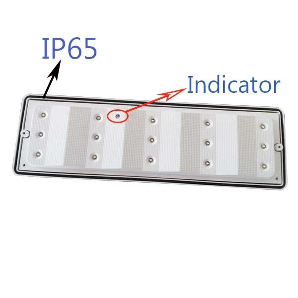 Superficie de la pared montada impermeable para el mamparo de emergencia luz LED ubicación húmeda exterior IP65 L102M