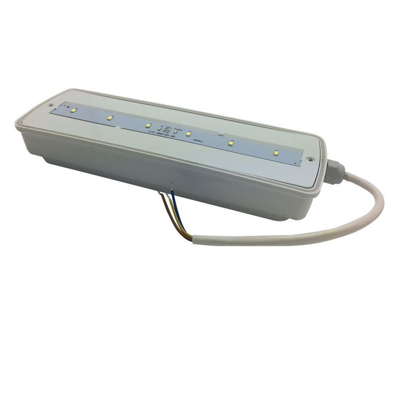 Pared impermeable luz de emergencia recargable IP65 plástico Ni-Cd con batería de respaldo 3 horas L116N-E