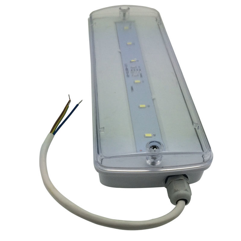 Pared impermeable luz de emergencia recargable IP65 plástico Ni-Cd con batería de respaldo 3 horas L116N-E