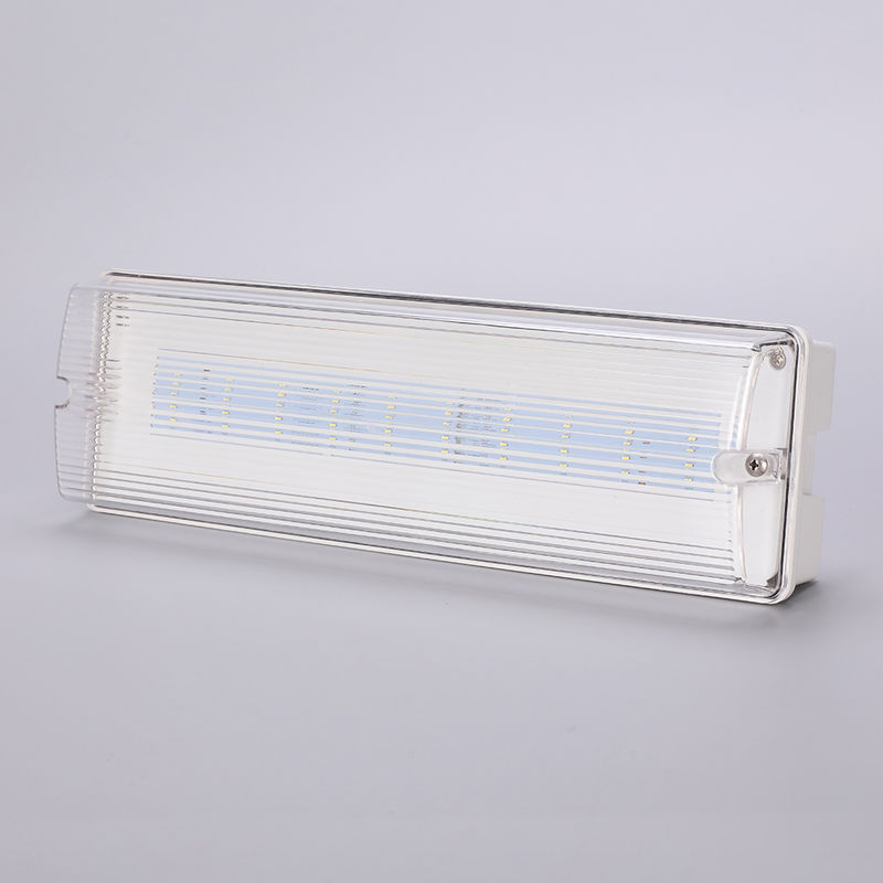 Luz de emergencia LED impermeable 3H Batería de respaldo Ni Cd 3.6V 1.0Ah 5pcs SMD 5730 IP65 6500K
