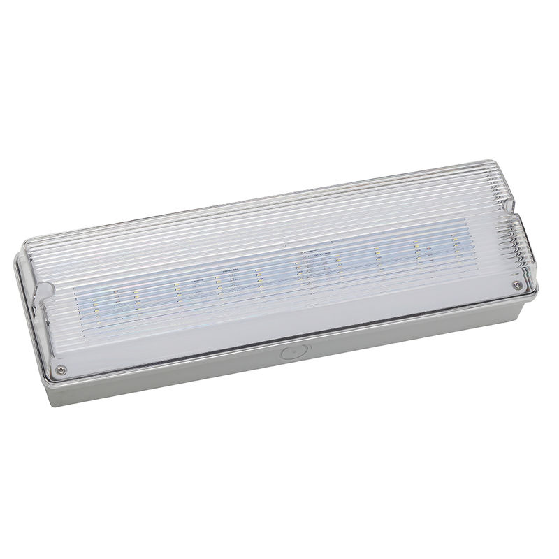 Luz de emergencia LED impermeable 3H Batería de respaldo Ni Cd 3.6V 1.0Ah 5pcs SMD 5730 IP65 6500K