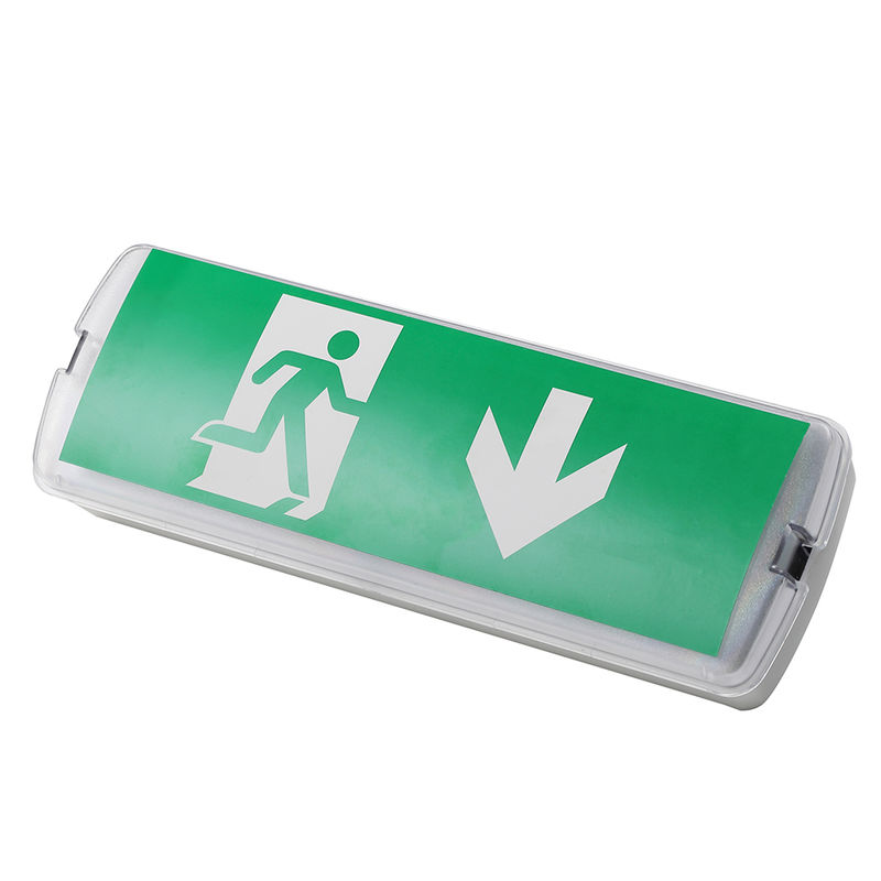 Lámpara de emergencia de LED recargable 3W 6500K Ni CD Batería IP20 SMD LED 220V 240V