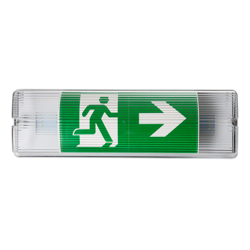 Luminaria de emergencia LED para ascensor, a prueba de intemperie, IP65, 220V 240V, 3H, batería Ni-Cd de respaldo