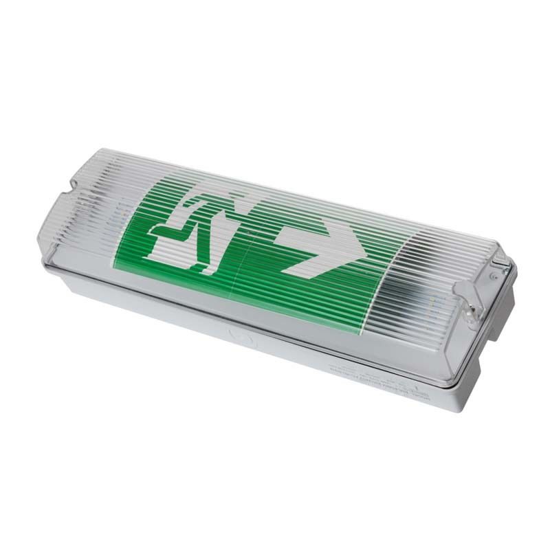 Luminaria de emergencia LED para ascensor, a prueba de intemperie, IP65, 220V 240V, 3H, batería Ni-Cd de respaldo