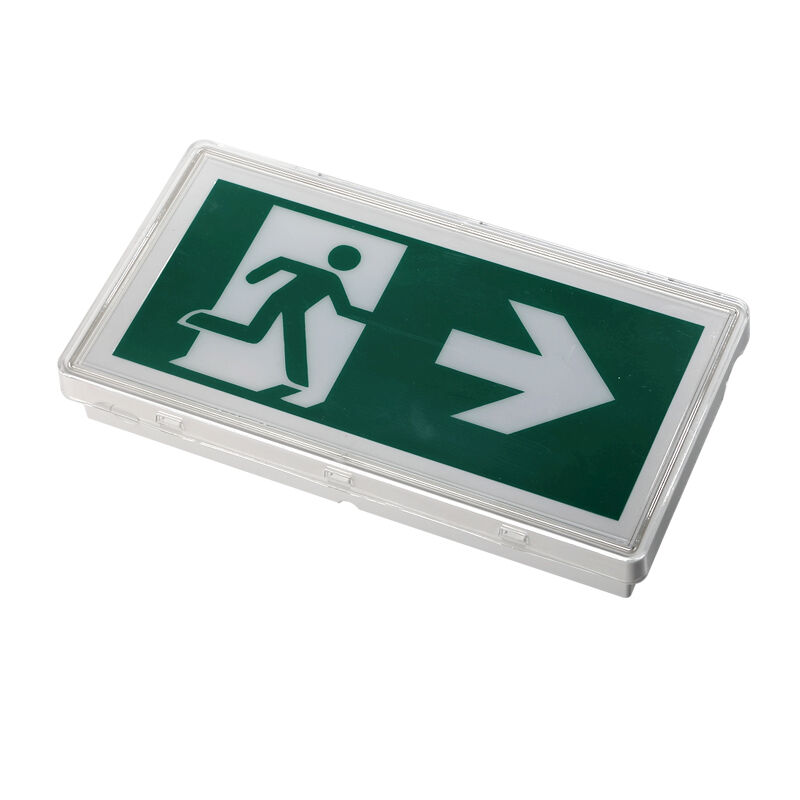 Señal de salida de emergencia LED con clasificación IP65, 3 horas de tiempo de emergencia, funciona con batería Ni-Cd