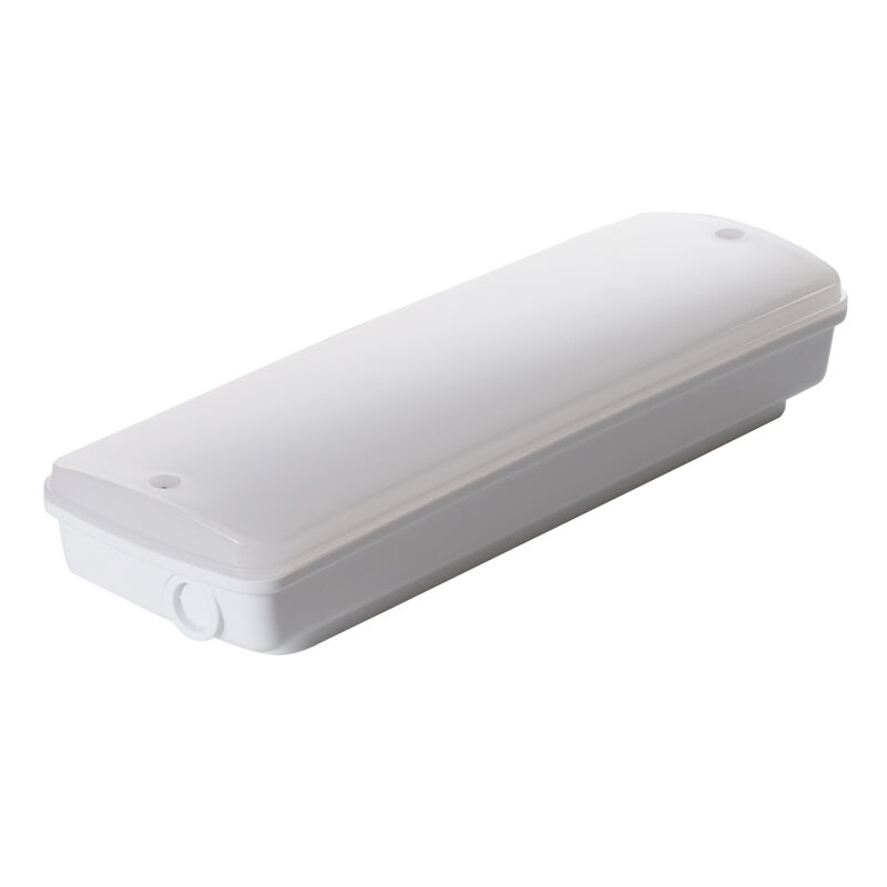 Luz de emergencia LED industrial IP65 impermeable para exteriores en lugares húmedos con respaldo de 3 horas Ni-Cd