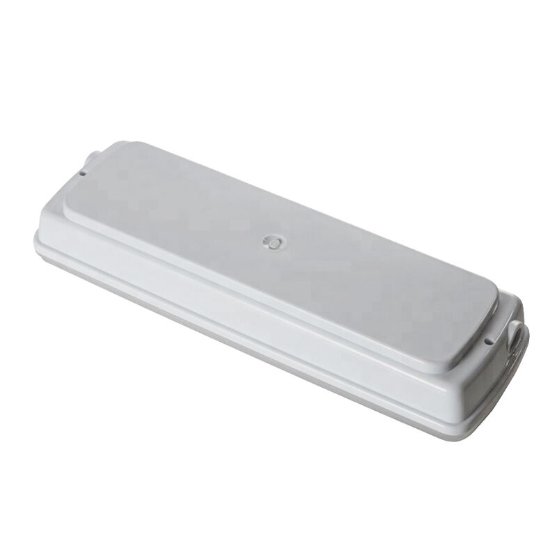 Luz de emergencia LED industrial IP65 impermeable para exteriores en lugares húmedos con respaldo de 3 horas Ni-Cd