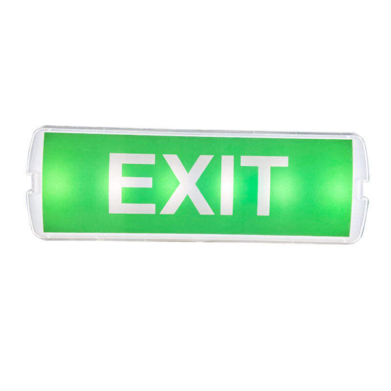 lámpara de emergencia recargable LED de 220V montada en superficie con respaldo de 3 horas y construcción de plástico