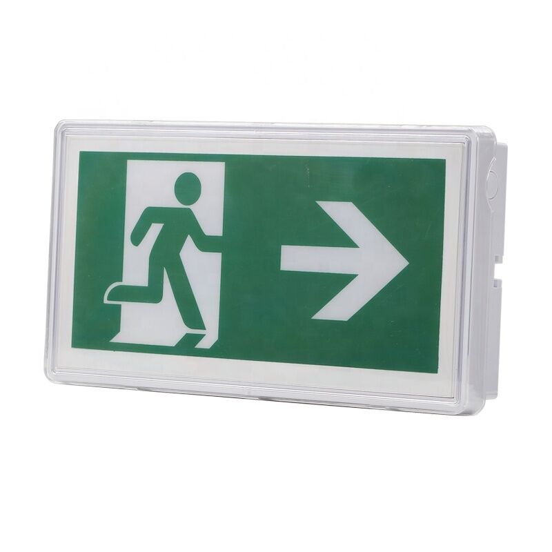 Luz de emergencia LED IP65 de 5W, aplique estanco para exteriores, 3 años de garantía, 25000 horas