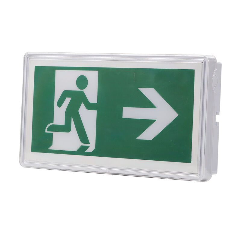 Luz de señal de salida de emergencia en el techo con batería Ni-Cd IP65 y 5730 SMD LED