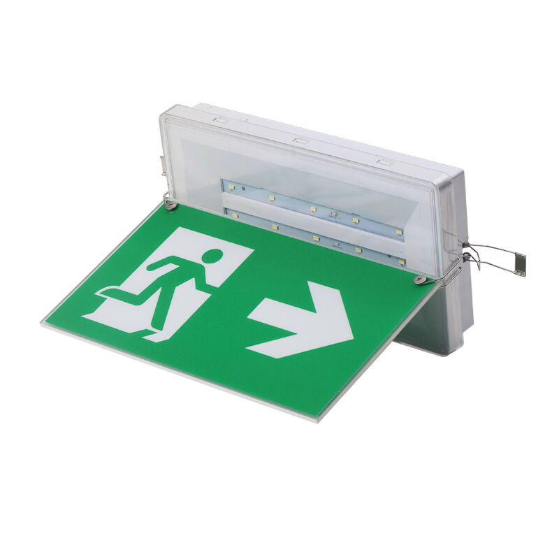 Luz de señal de salida de emergencia en el techo con batería Ni-Cd IP65 y 5730 SMD LED