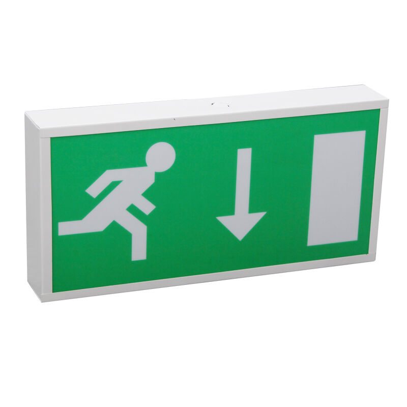 Running Man Ni-Cd Batería de respaldo LED Iluminación de salida de emergencia con 5730 SMD LED y garantía de 3 años