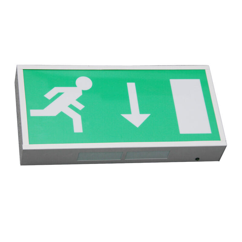 Running Man Ni-Cd Batería de respaldo LED Iluminación de salida de emergencia con 5730 SMD LED y garantía de 3 años