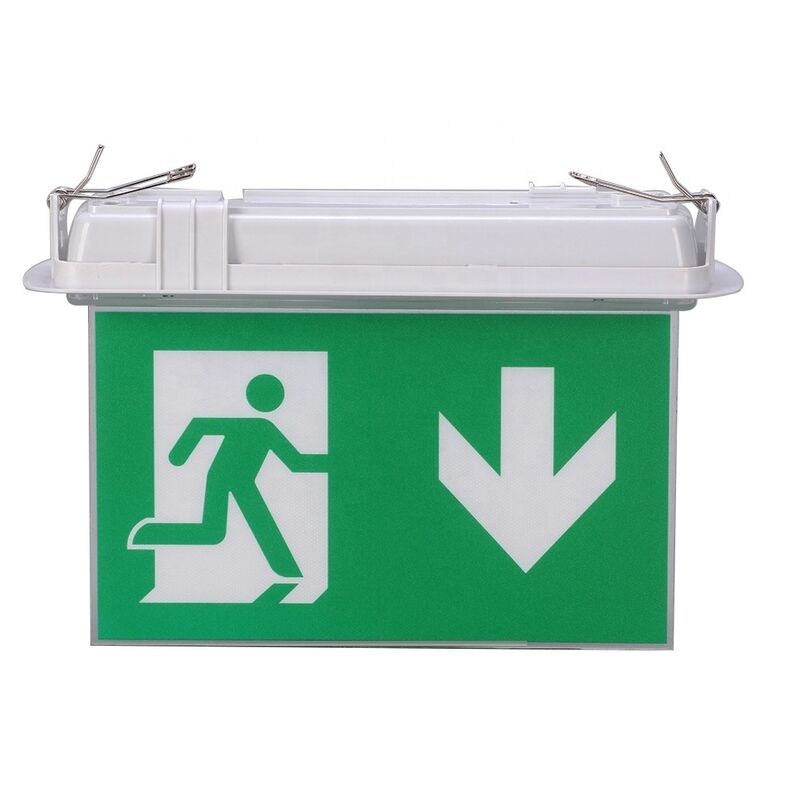Señal de Salida de Emergencia LED Doble Cara con Carcasa de ABS Ignífugo, Operación de 3 Horas, Batería Ni-Cd