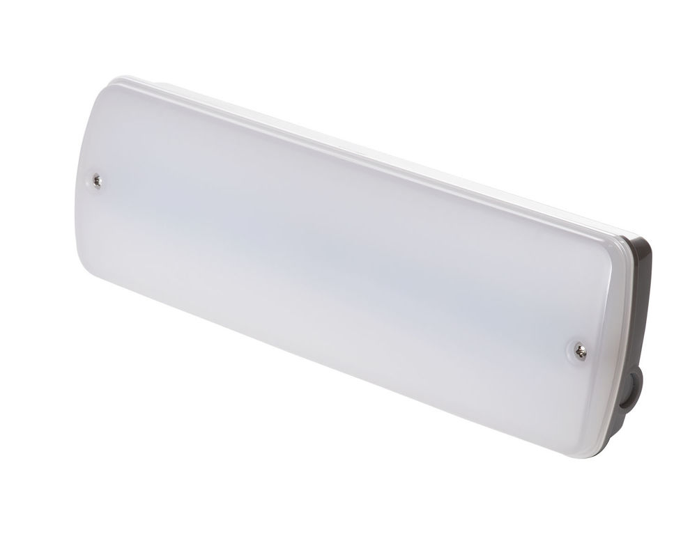 Luz de emergencia industrial impermeable 220V para exteriores en lugares húmedos con batería de respaldo LED L121N