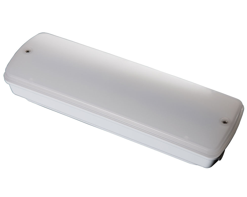 Luz de emergencia industrial impermeable 220V Ubicación húmeda exterior con batería de respaldo LED L121N