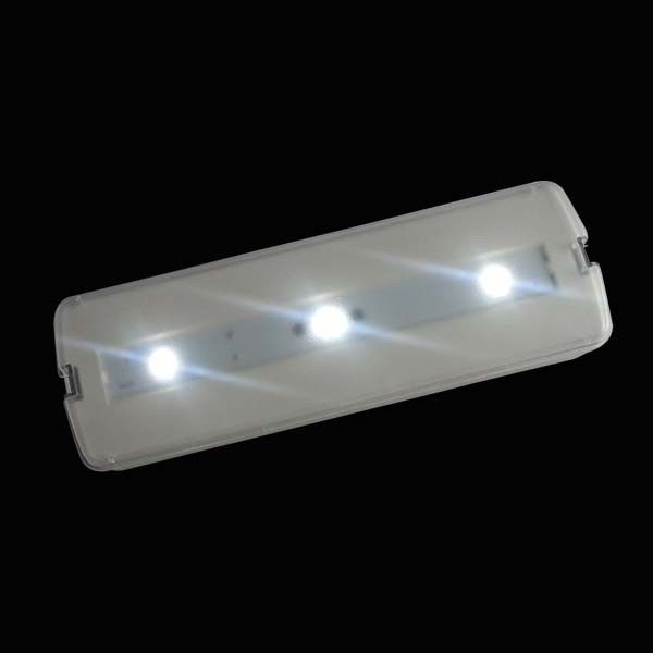 Luz de emergencia recargable LED de 220V con batería de respaldo Aprobación CE Superficie de pared montada L116N-A1
