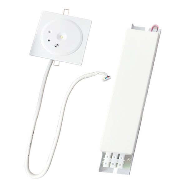Luz de emergencia de techo recargado recargable de 1W LED sin mantenimiento IP45 personalizado con placa de PC de respaldo de batería